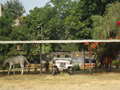 Bhilwara Online