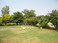 Bhilwara Online